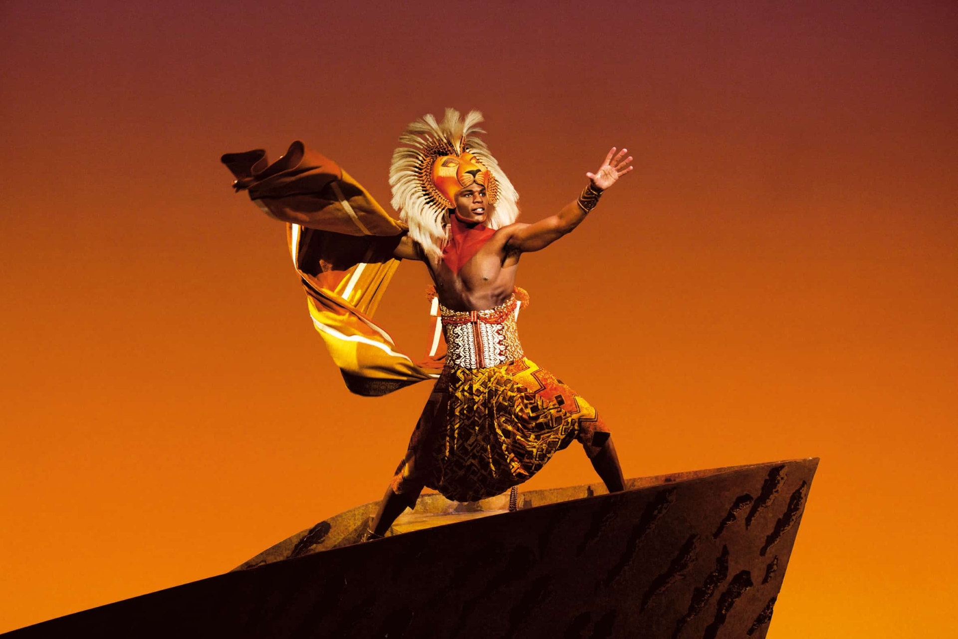 moufasa roi lion